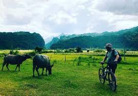 Phong Nha Bike & Boat Tour 1 Day